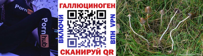 Псилоцибиновые грибы мухоморы  магазин  наркотиков  Балашов 